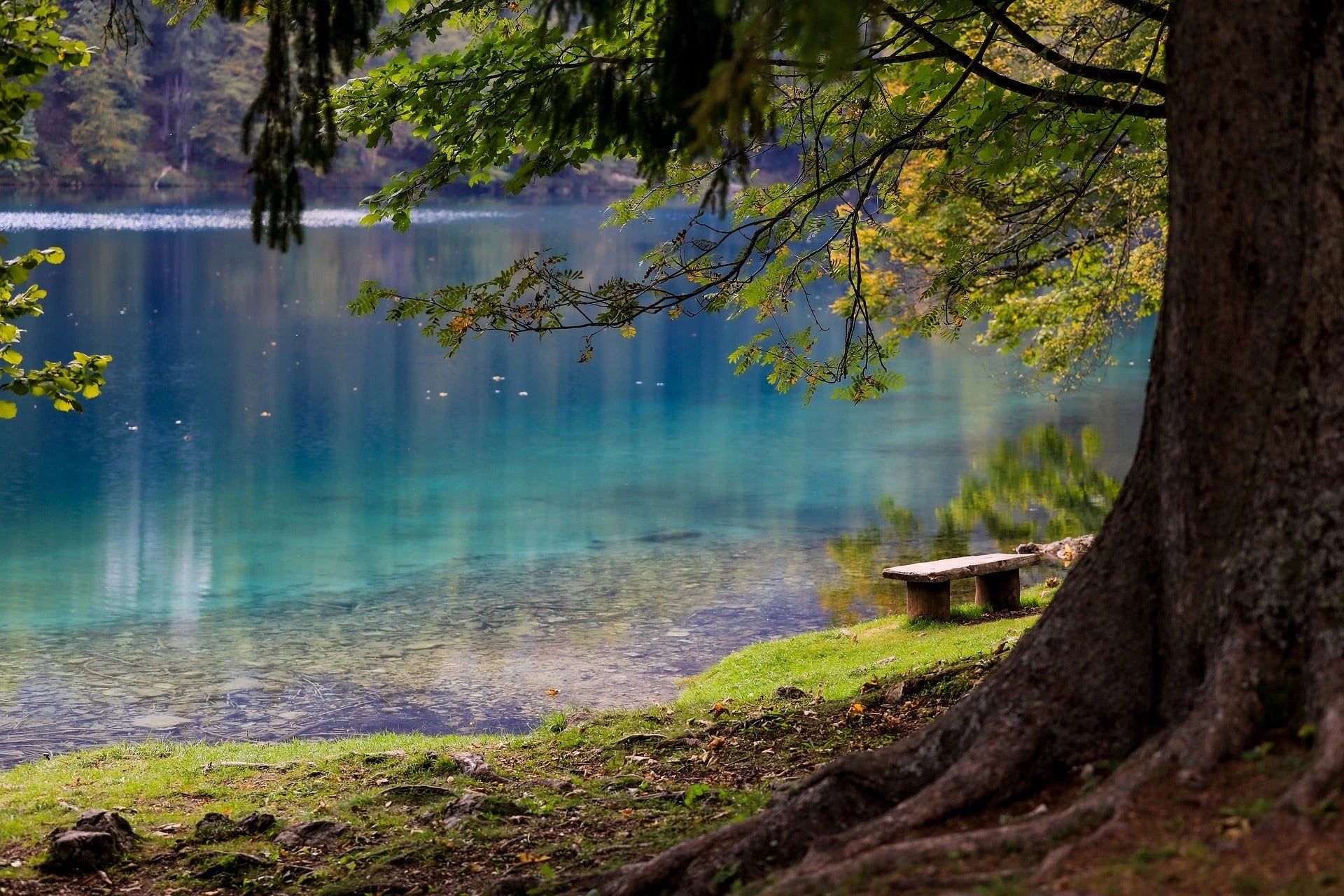 Bord de lac, sérénité